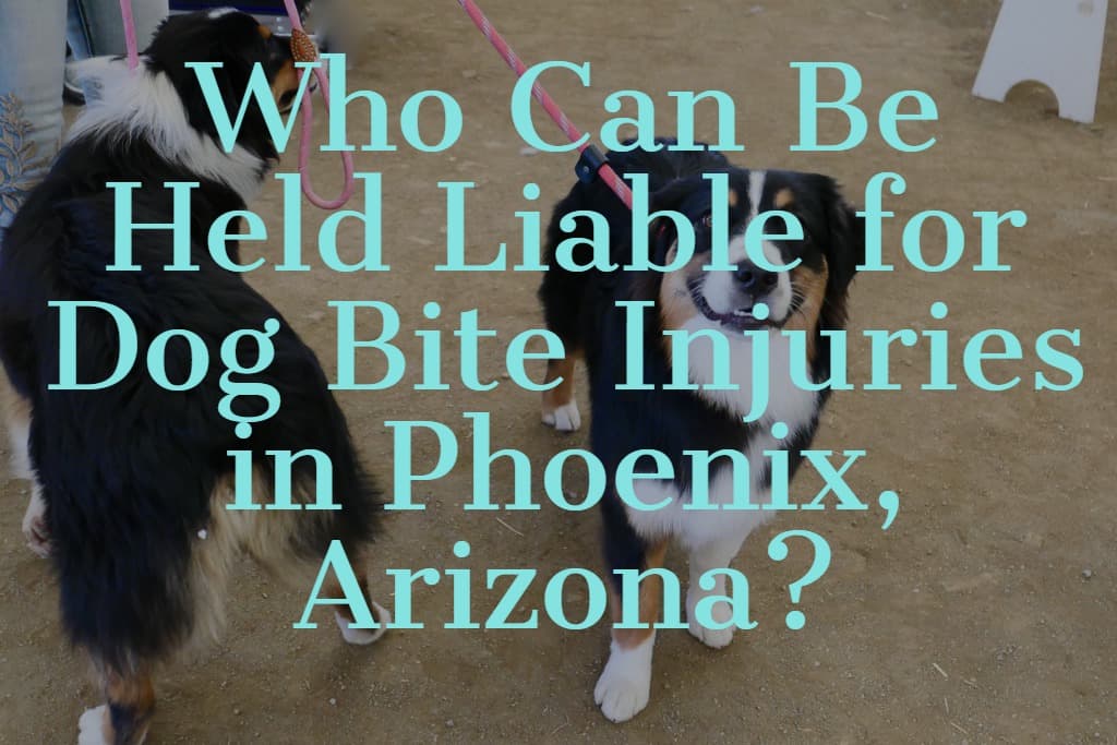 Who Can Be Held Liable for Dog Bite Injuries?